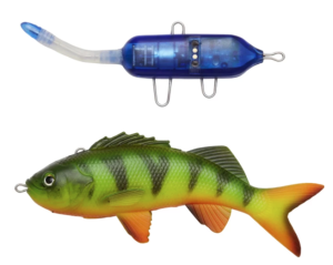 PULZ BAIT STARTER KIT PERCH 15CM - FIRETIGER