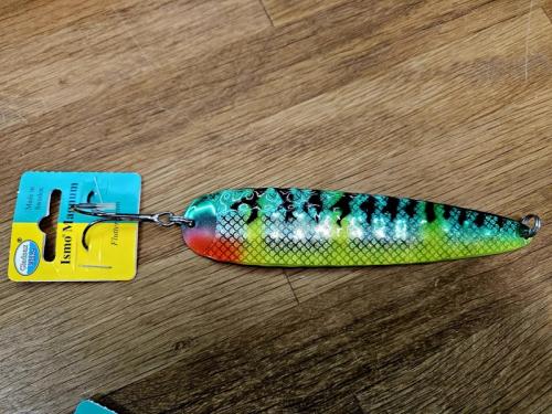 Ismo Magnum Regal Karvasen