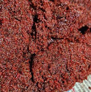 FRYSTA JOKERS I LEEM 100GR