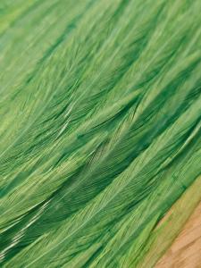 EWING HACKLE SADDLE GRAD 2 - GREEN