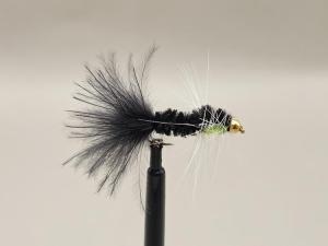 J.N FLYES - MONTANA #10