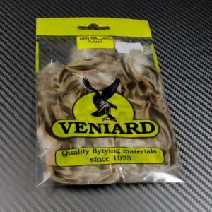 Mallard Duck Hen Flank