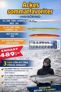 ACKES SOMMARFAVORITER - HAVSÖRING