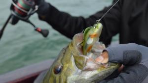 MEGABASS DARK SLEEPER 2.4´ 1/4OZ