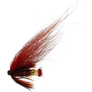 Phatakorva US Tube 10 mm