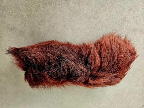 WHOLE FOX TAIL SUPREME - CLEART
