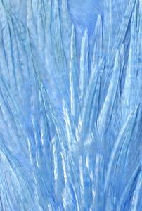 EWING HACKLE SADDLE GRAD 2 - SKY BLUE