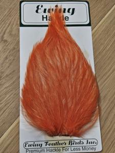 Ewing Saltwater Patch Orange