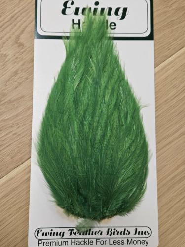 Ewing Saltwater Patch Green