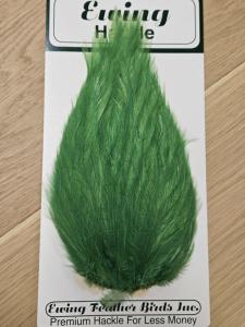 Ewing Saltwater Patch Green