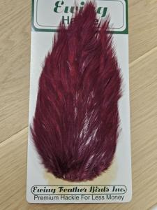 Ewing Saltwater Patch Wine