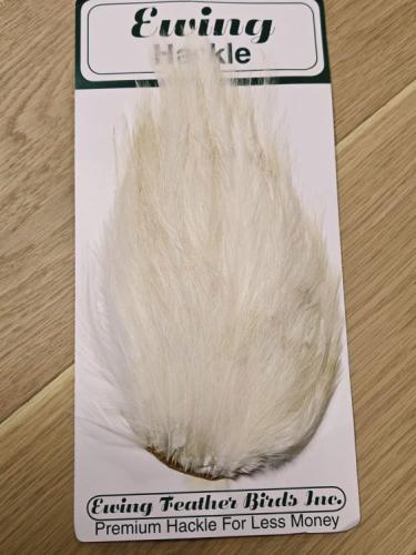 Ewing Saltwater Patch White