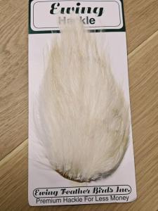 Ewing Saltwater Patch White