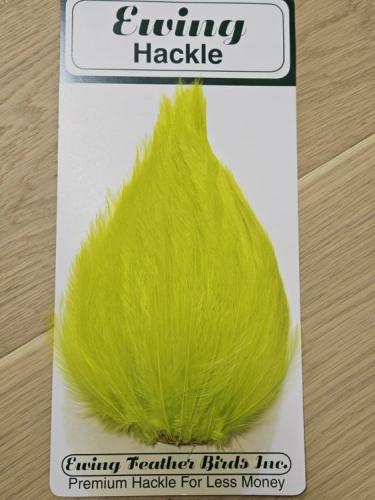 Ewing Saltwater Patch Chartreuse