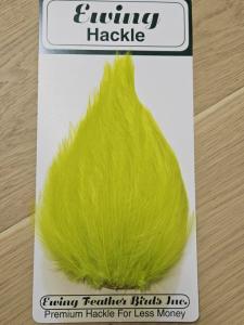 Ewing Saltwater Patch Chartreuse