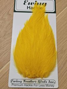 Ewing Saltwater Patch Yellow