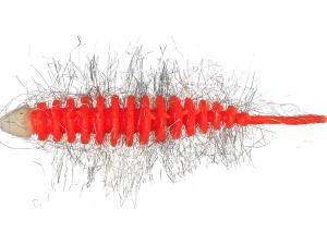 NEEDLE BUG 6.5CM ORANGE/WHITE - BANANA