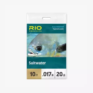 RIO SALTWATER LEADER 10FT