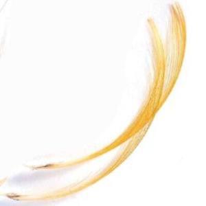 GOLDEN PHEASANT TIPPETS S