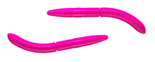 LIBRA LURES FATTY D´WORM 65MM CHEESE
