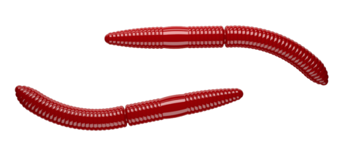 LIBRA LURES FATTY D´WORM 75MM CHEESE