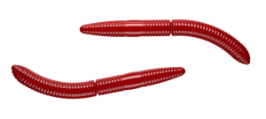 LIBRA LURES FATTY D´WORM 75MM CHEESE