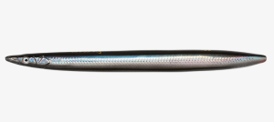 SG LINE THURE SANDEEL 12.5CM 19G