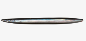 SG 3D LINE THURE SANDEEL 15CM 27G