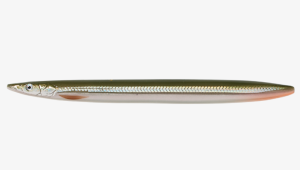SG 3D LINE THURE SANDEEL 15CM 27G