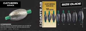 DARTS CATHERINSÄNKE