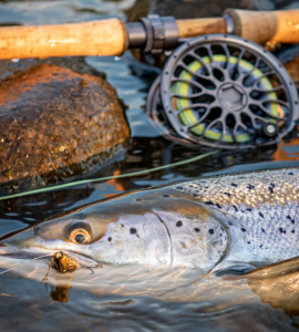 VISION XO FLY REEL