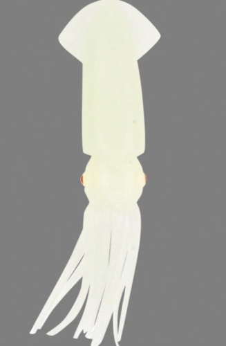 BLÄCKFISK SJÄLVLYSANDE 10CM