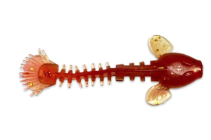 KANALGRATIS MONKEY FRY 10CM 6GR (10-PACK)