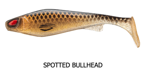 PX LAZY SHAD 16 SPOTTED BULLHEAD
