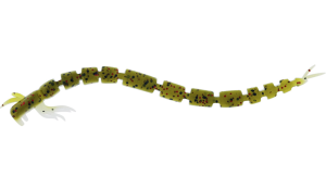 WESTIN BLOODTEEZ WORM 7.5CM (6-PACK)
