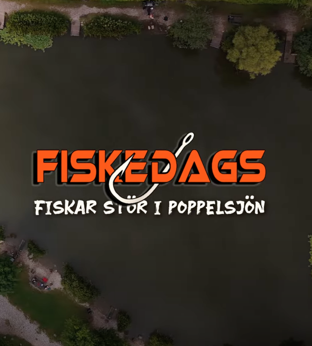 STÖRFISKE I DANMARK (YOUTUBE)