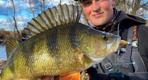 KANALGRATIS MONKEY BRUTE 7.5CM (JIGGBAREN)