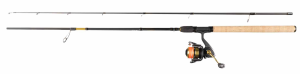 DAIWA PROCASTER RS COMBO