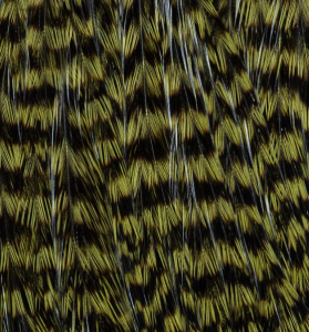 EWING DECEIVER PATCH GRIZZLY - OLIVE