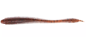 SUNNY BRO DRUG STICK 2.8`