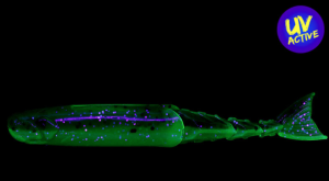 ZMAN CHATTERSHAD 3.5´