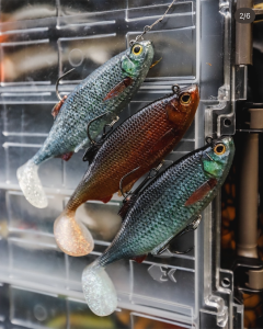 WESTIN RICKY THE ROACH SHADTAIL R2F 14CM 57GR (LIMITED EDITION)