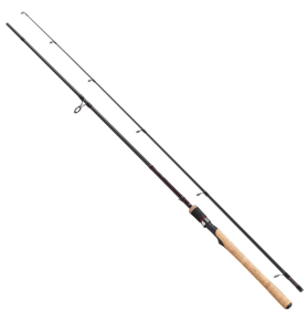 FLADEN VANTAGE CARBON 10FT 20-80G