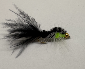 J.N FLYES - MONTANA #10