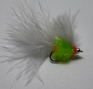 J.N FLYES - WIFI ELECTRIC