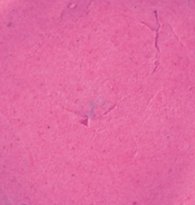 POWERBAIT TROUT BAIT 50GR