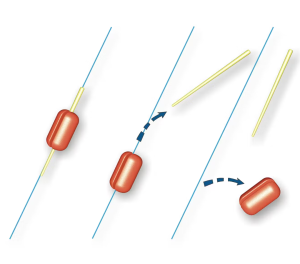 STONFO INTERCHANGEABLE LINE SIGNAL