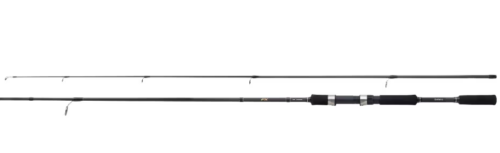 SHIMANO FX XT SPINNING