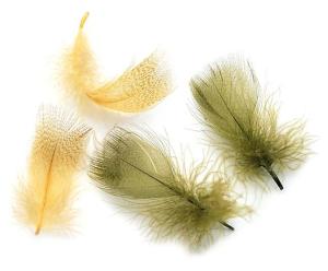 VENIARD MALLARD DUCK BREAST - YELLOW