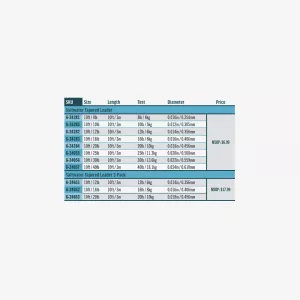 RIO SALTWATER LEADER 10FT